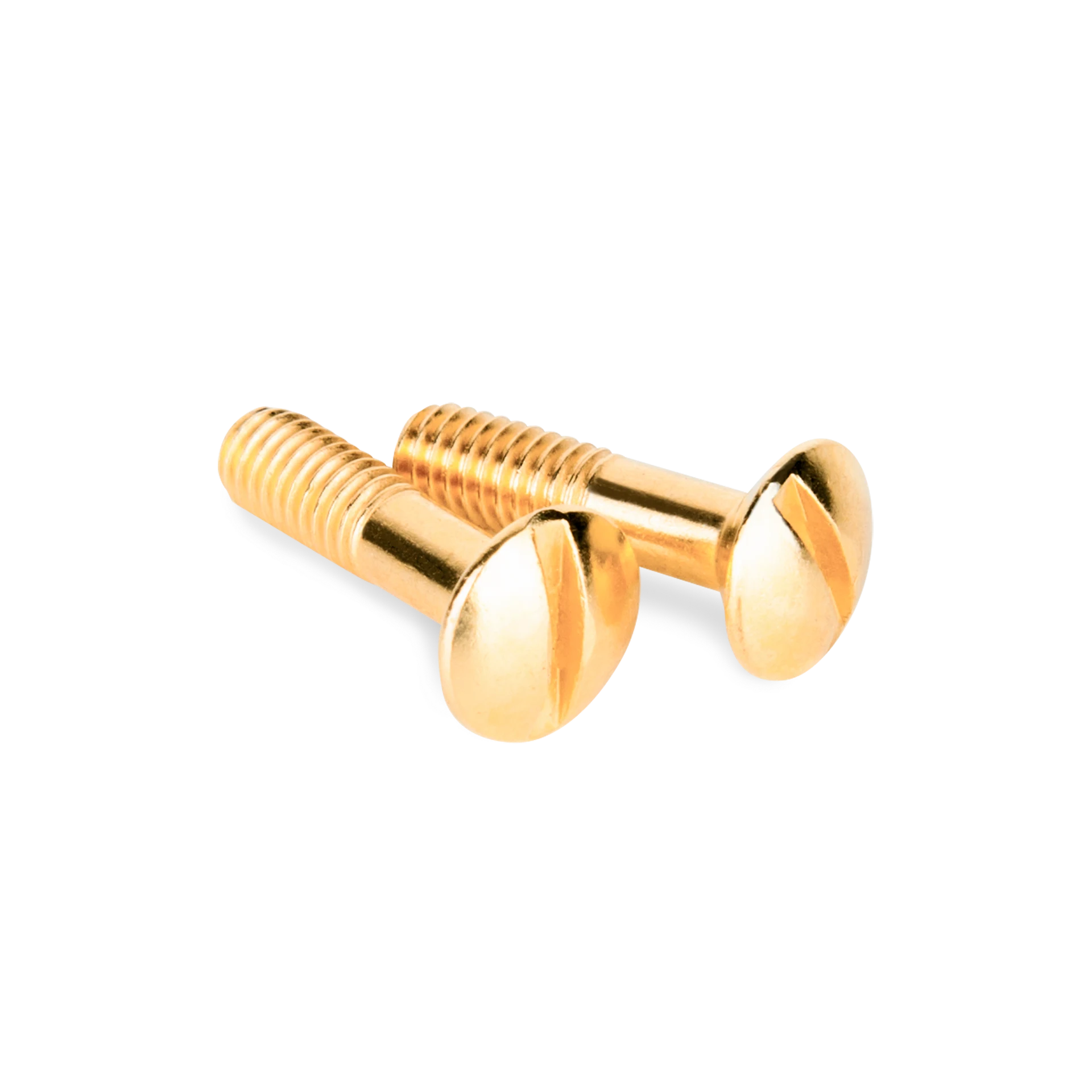 Werkel WL18-22-01/ Винты для распределительной коробки/TV розетки 2 шт. (золото) Ретро