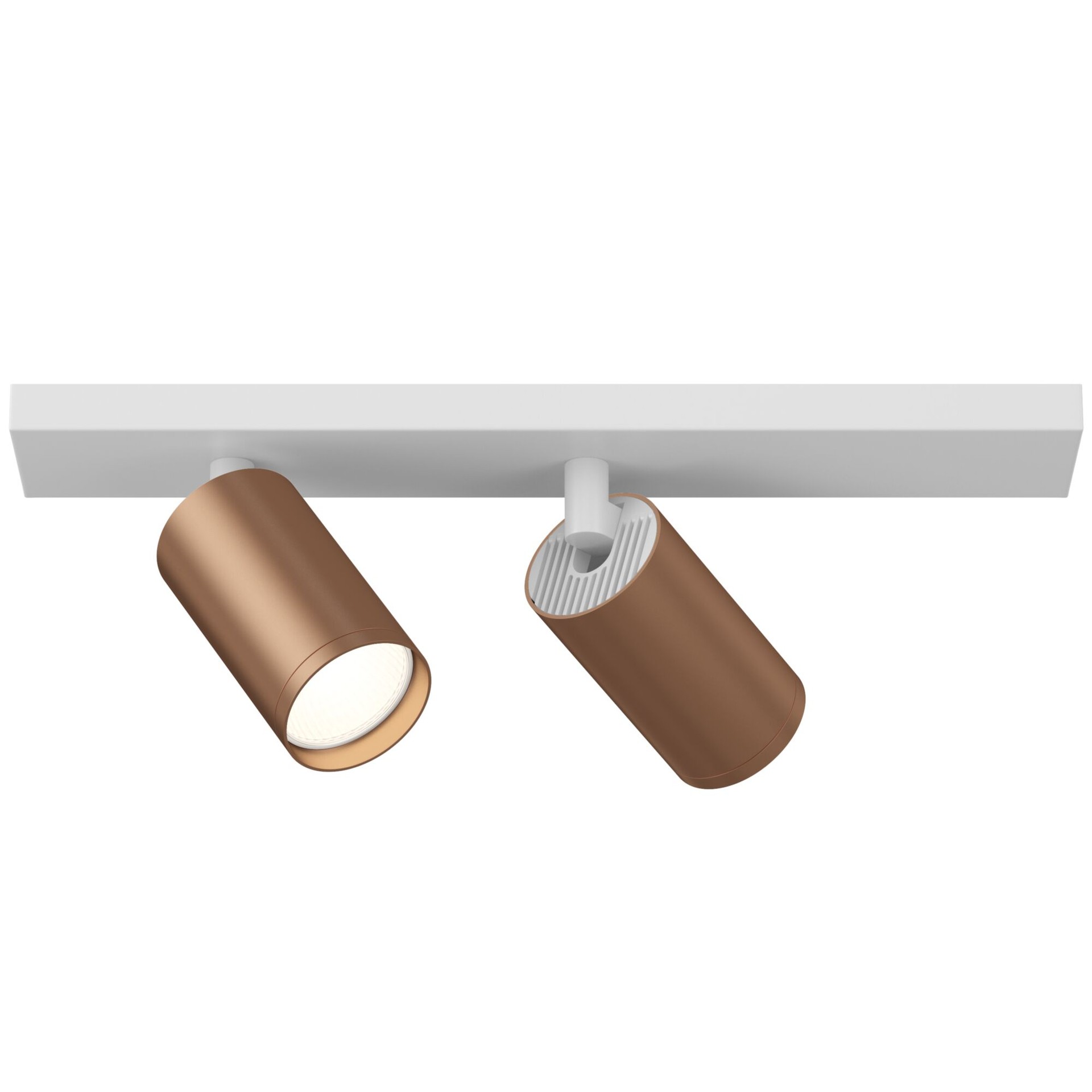 Светильник спот Maytoni Focus S C051CL-2WC