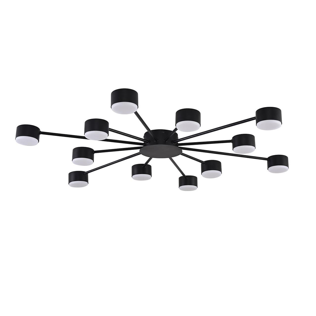 Потолочная люстра Lumion Torina 8344/12С