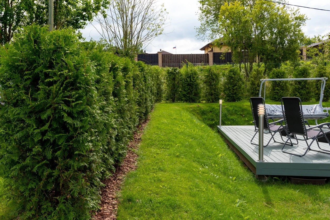 С озеленением