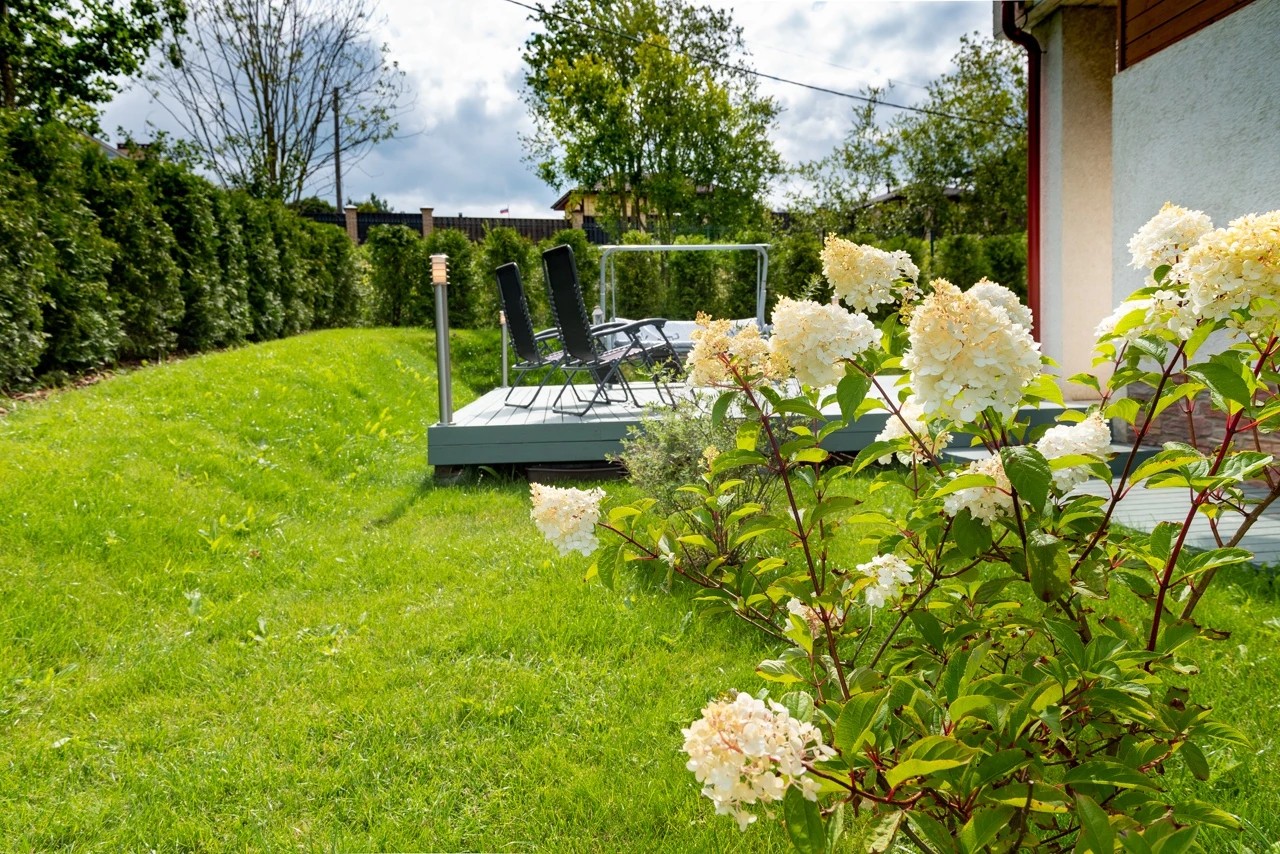 С озеленением