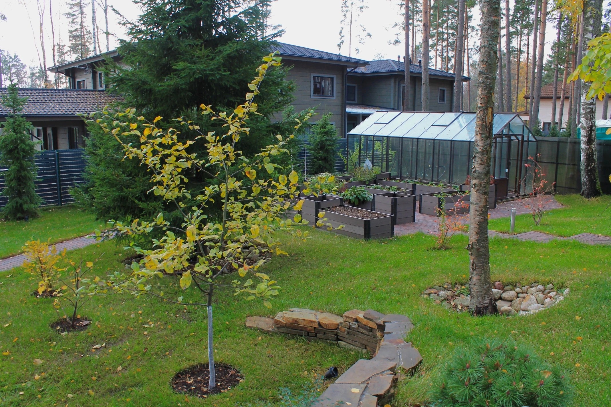 Морские террасы