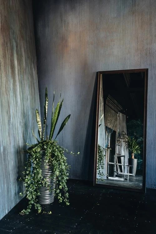 ЗАЛ ЧЕРНАЯ КЛАССИКА