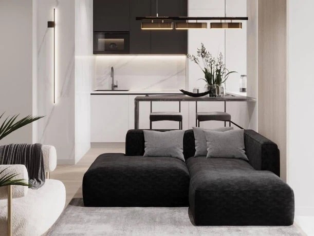 Кухня-Гостиная-Спальня в Ростовской квартире