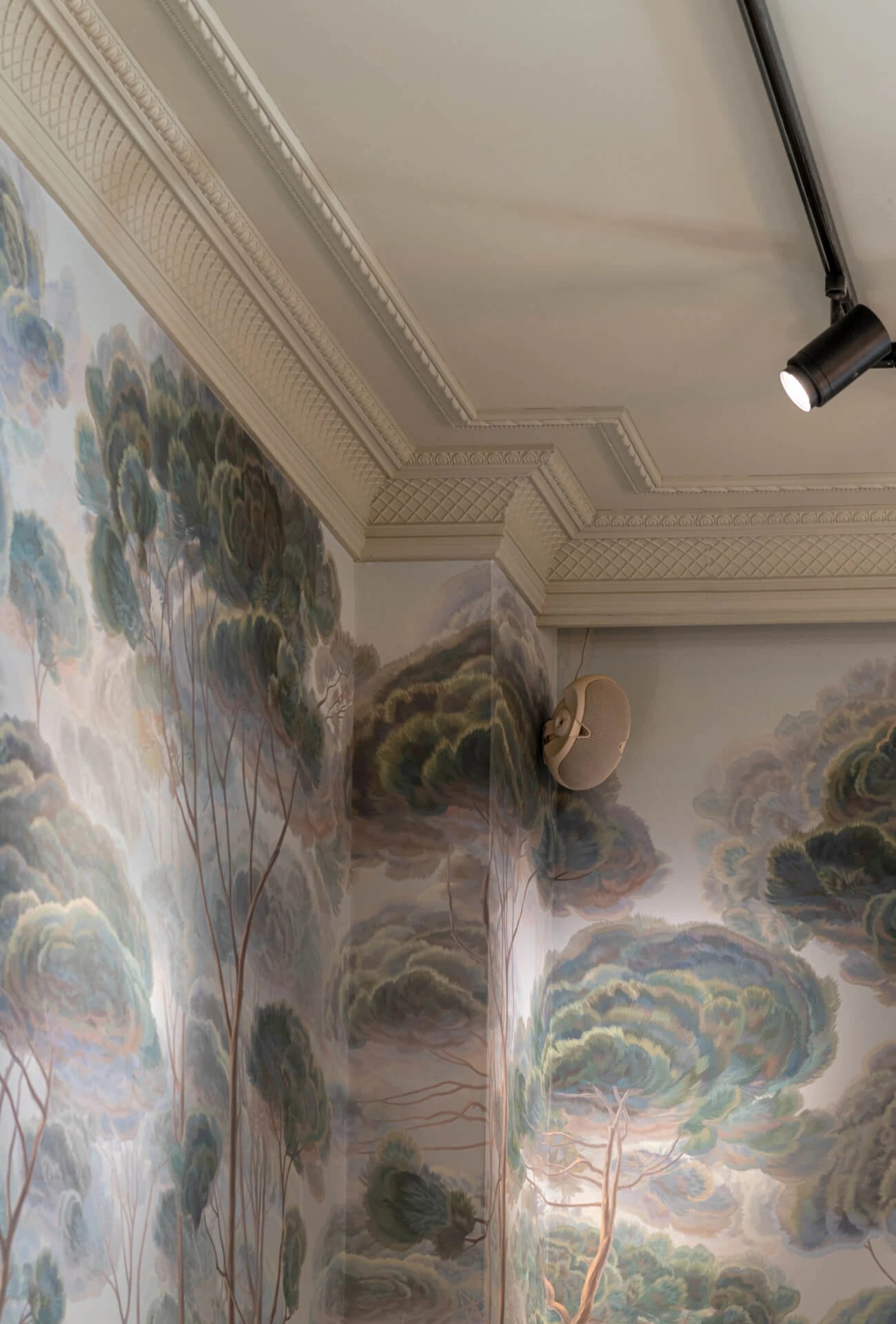 РЕСТОРАН ПЛЮШКИН