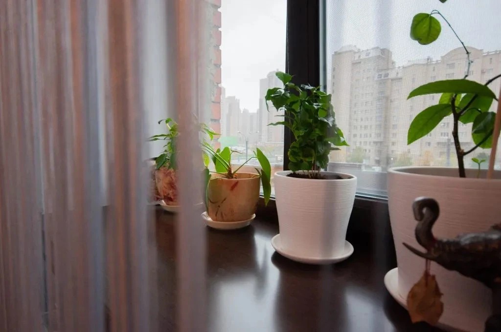 Капитальный ремонт на ул Савушкина