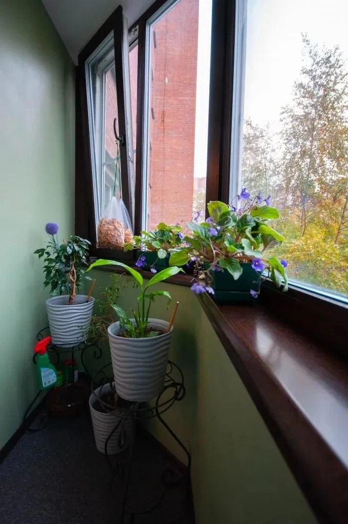 Капитальный ремонт на ул Савушкина