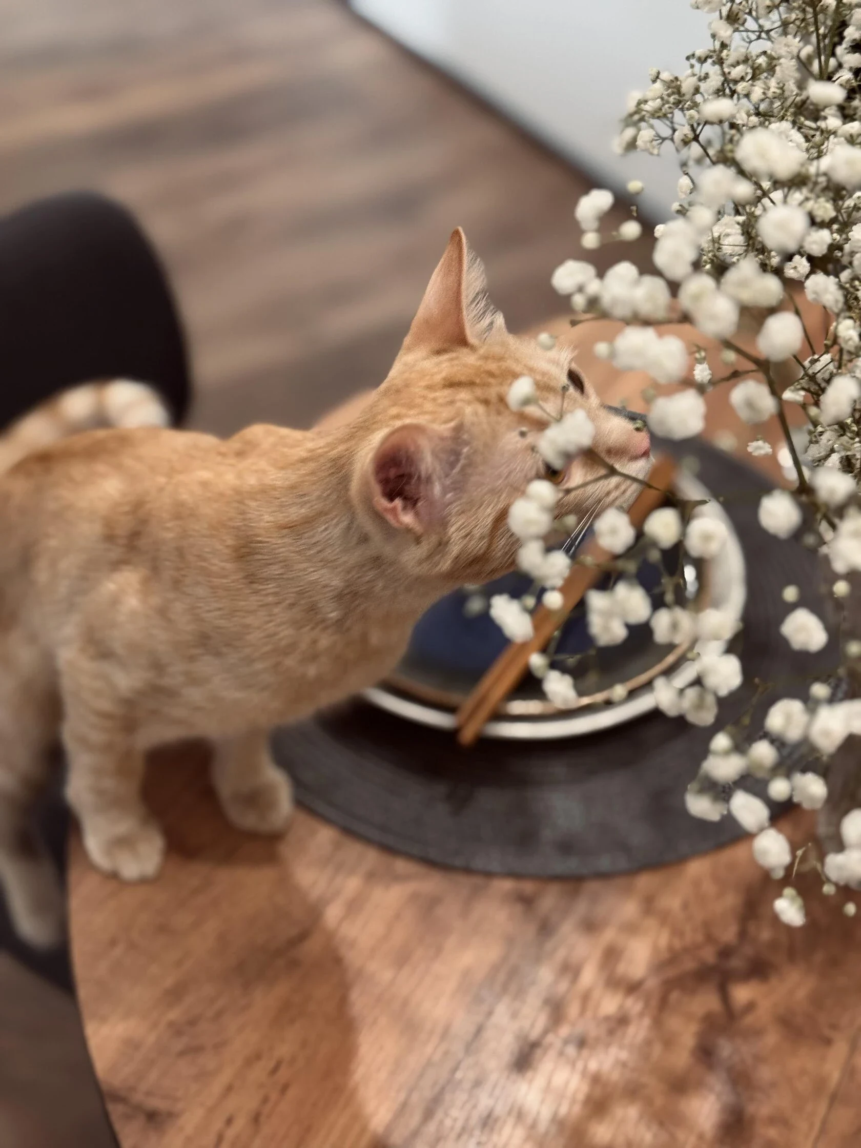 ЖК Сиреневый парк