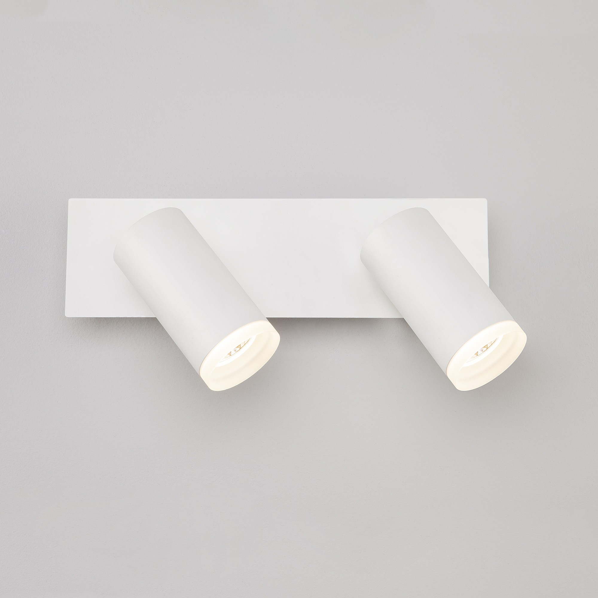 Светильник спот Eurosvet Holly 20067/2 LED белый 10W