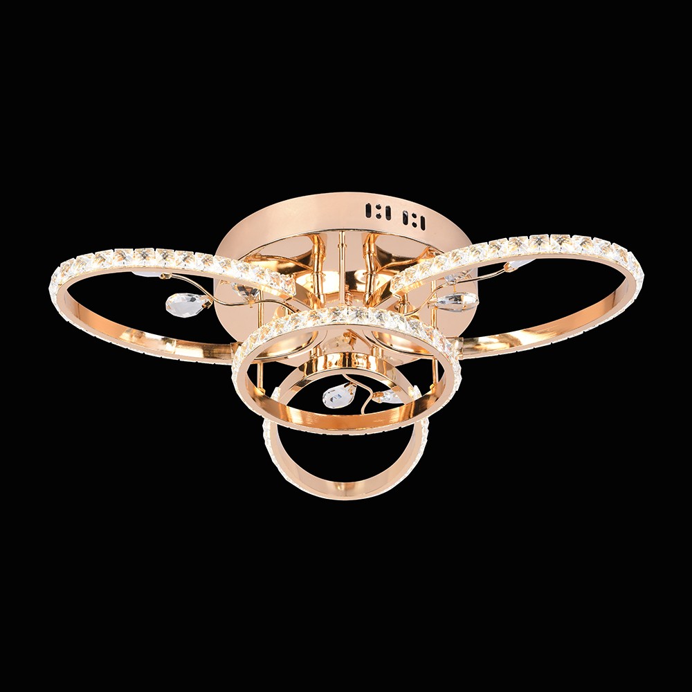 Потолочная светодиодная люстра  Wedo Light 78919.01.01.04