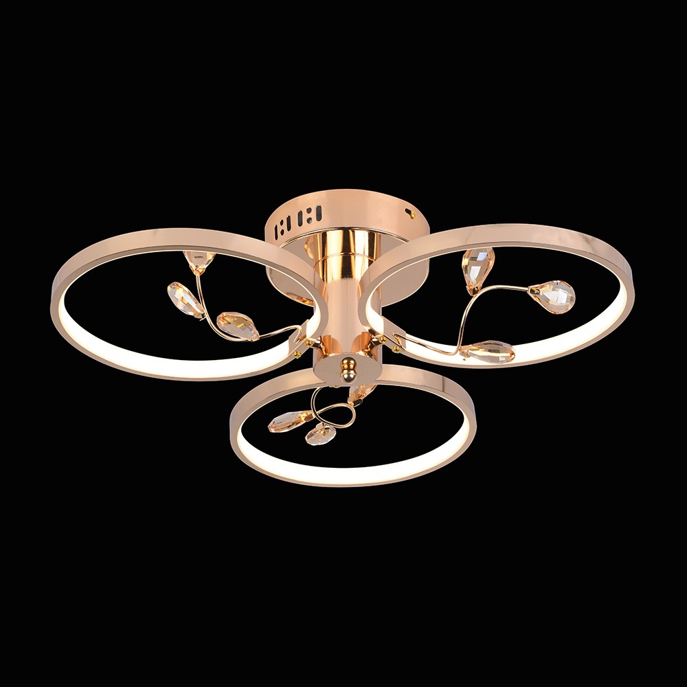 Потолочная люстра с пультом  Wedo Light 78924.01.01.03