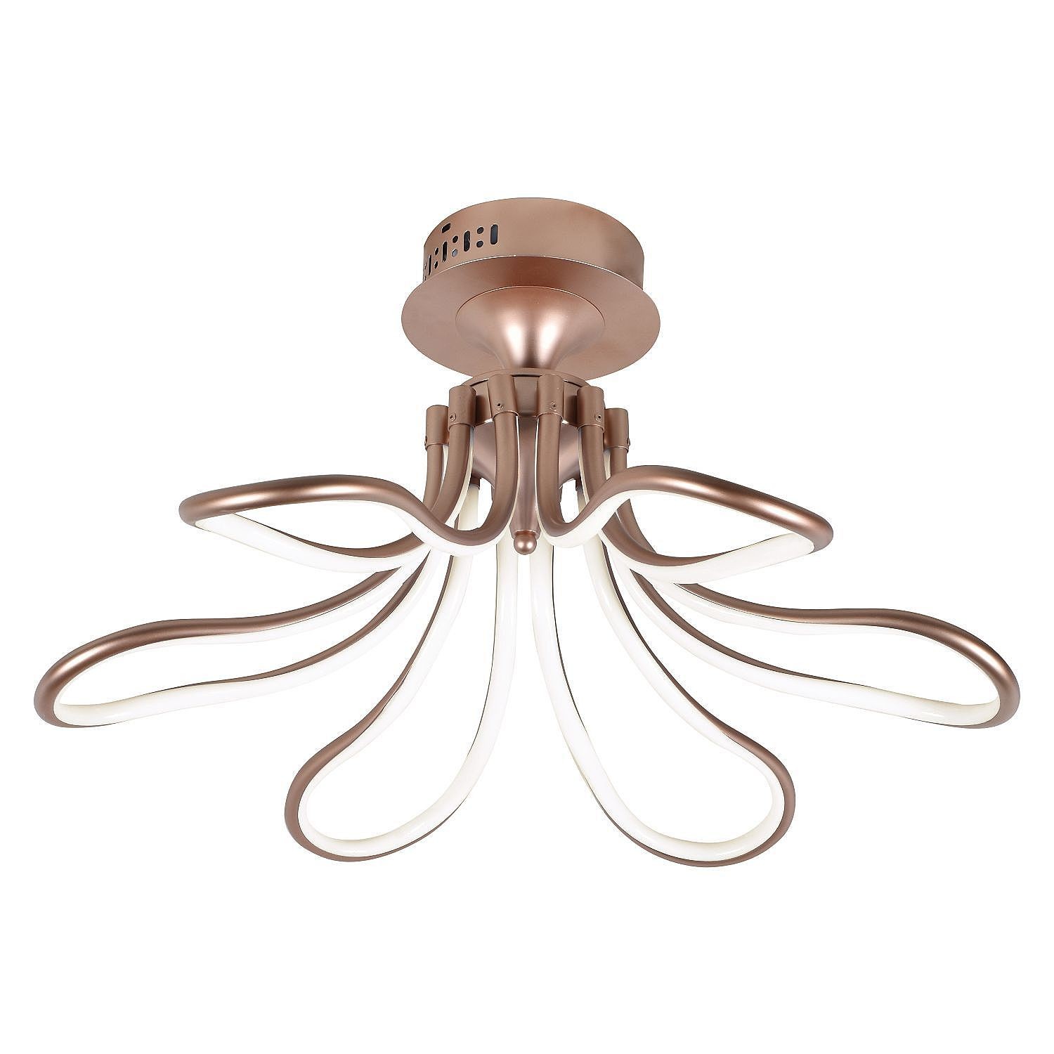 Потолочная светодиодная люстра Flora Favourite 2547-6U