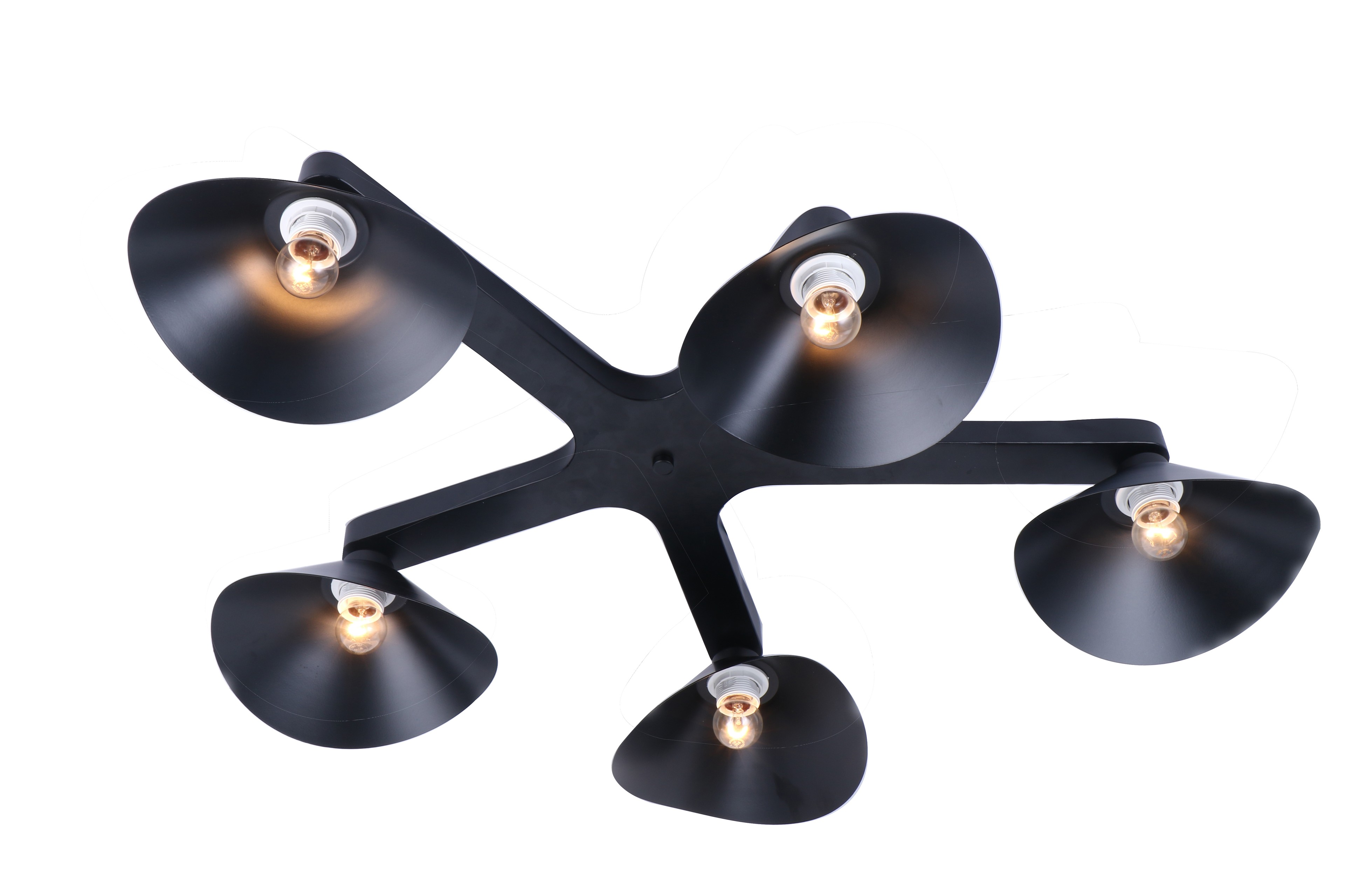 Потолочная люстра J-light Colin 1745/5C