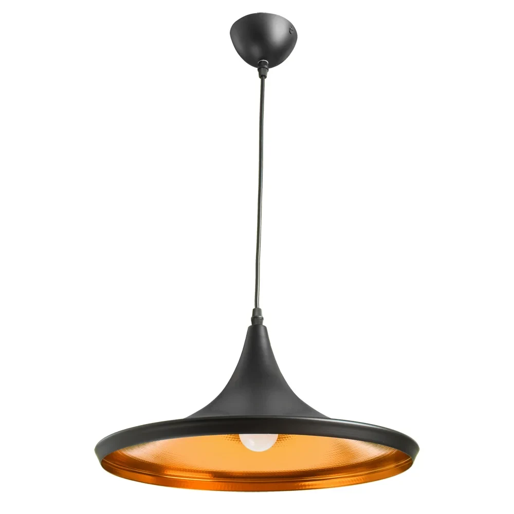 Светильник подвесной Arte Lamp CAPPELLO A3406SP-1BK