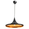 Светильник подвесной Arte Lamp CAPPELLO A3406SP-1BK