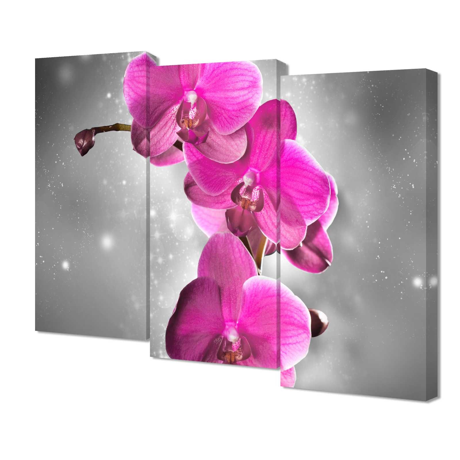 Модульные картины Toplight TL-M3076