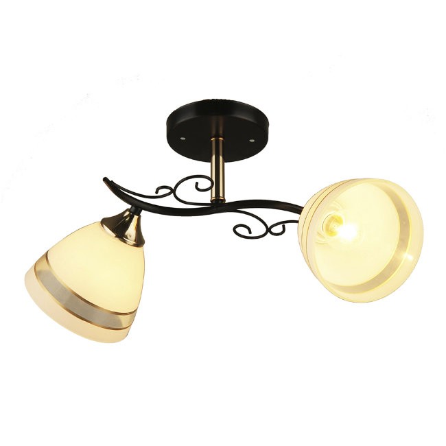 Потолочная люстра Wedo Light Моисес 65866.01.21.02