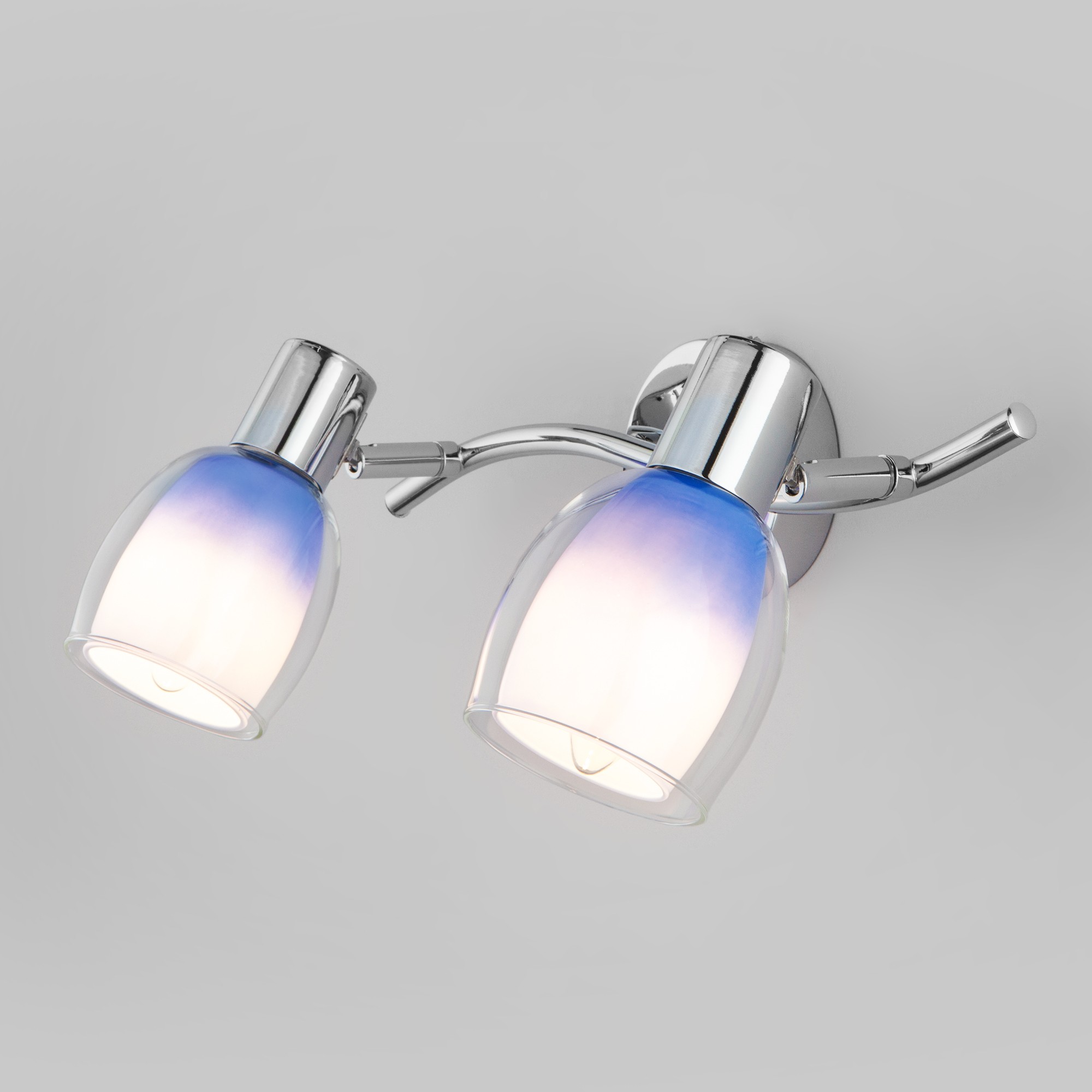 Светильник спот Eurosvet Potpourri 20119/2 синий