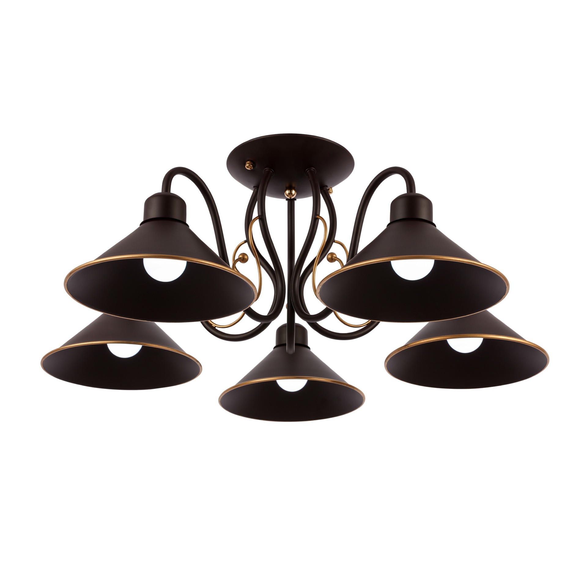 Потолочная люстра Evoluce Ciolla SLE120402-05