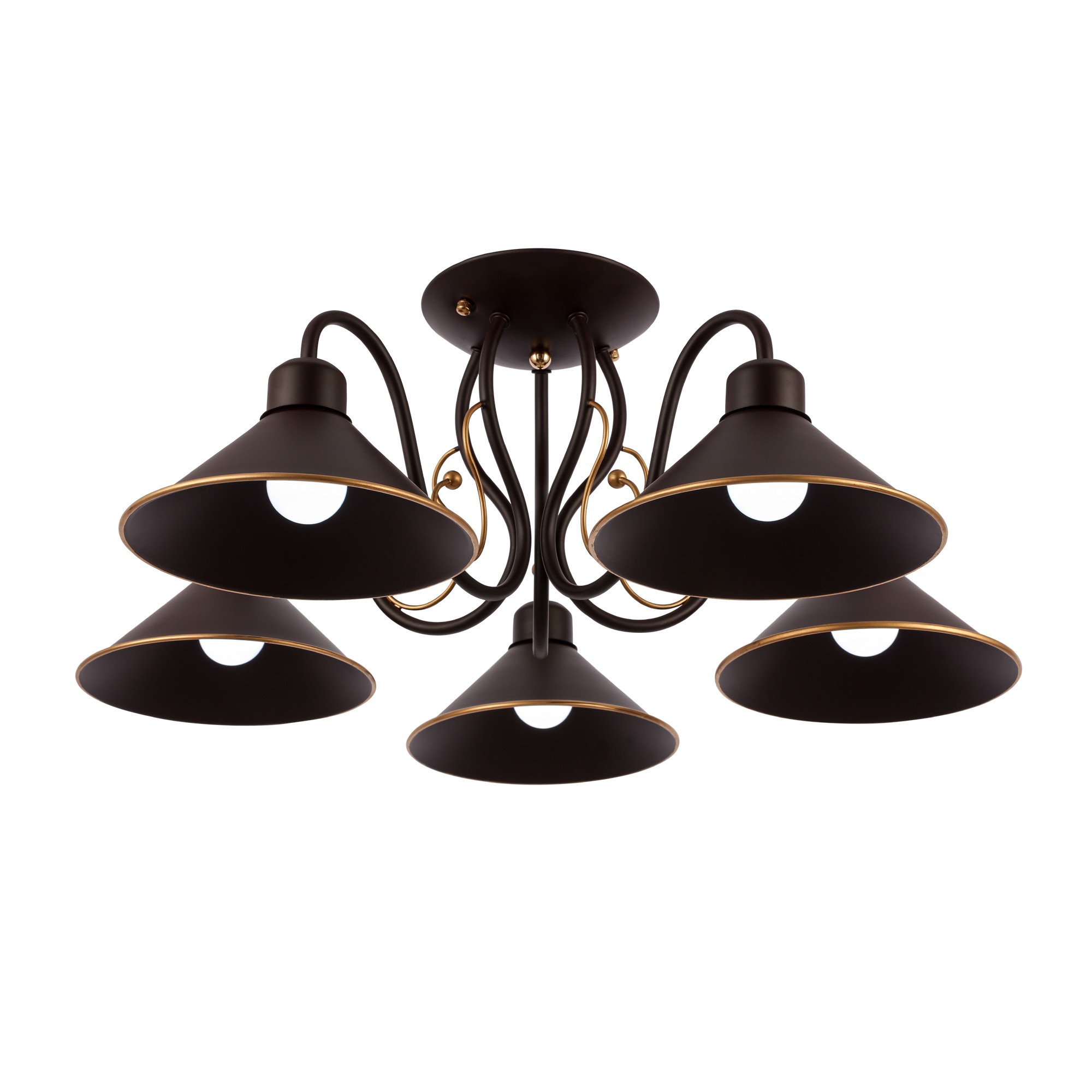 Потолочная люстра Evoluce Ciolla SLE120402-05