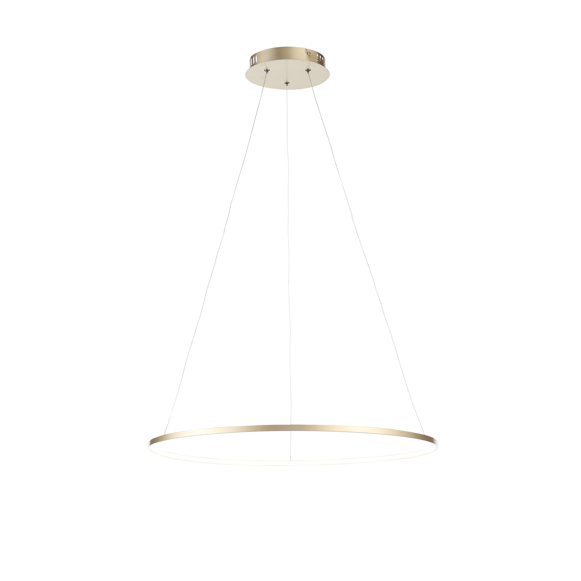 Подвесная люстра ST Luce Erto SL904.213.01