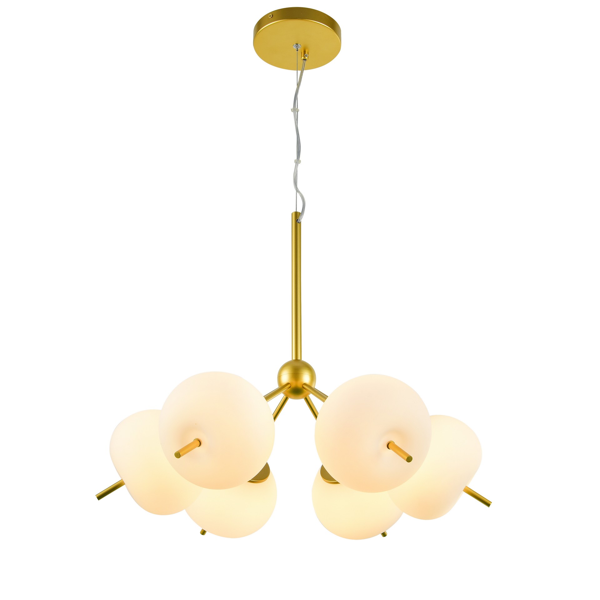 Подвесная люстра Favourite Bacca 2643-6P