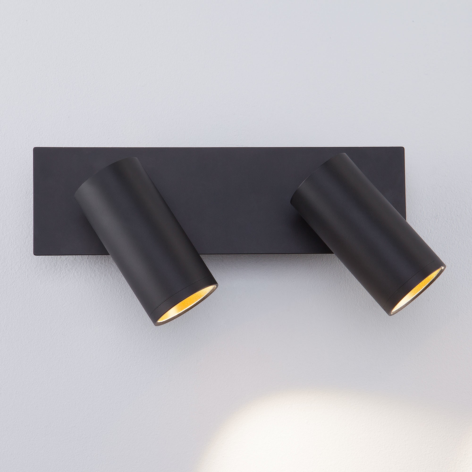 Светильник спот Eurosvet Fleur 20066/2 LED черный/золото