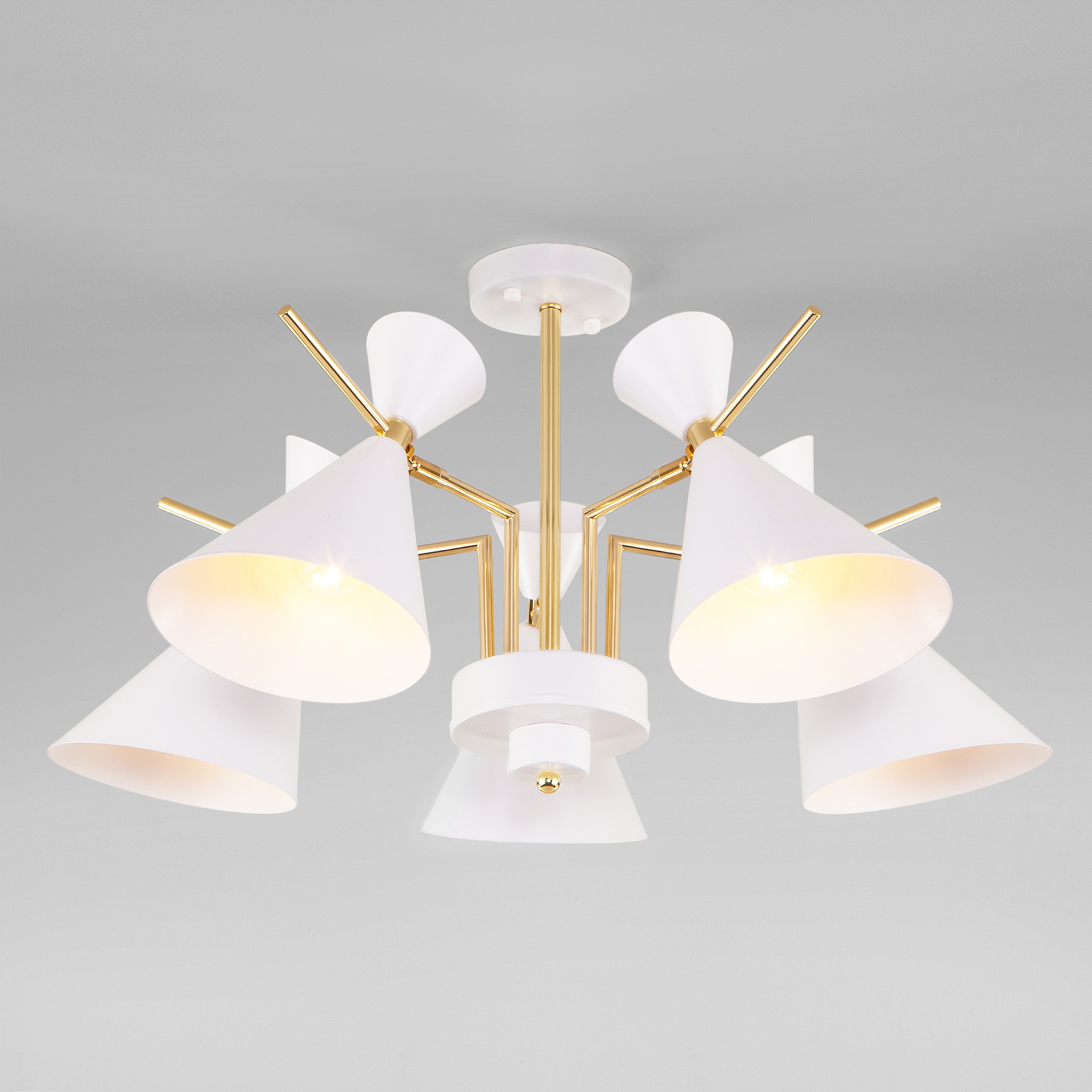 Потолочная люстра Eurosvet Apart 70114/5 белый Smart