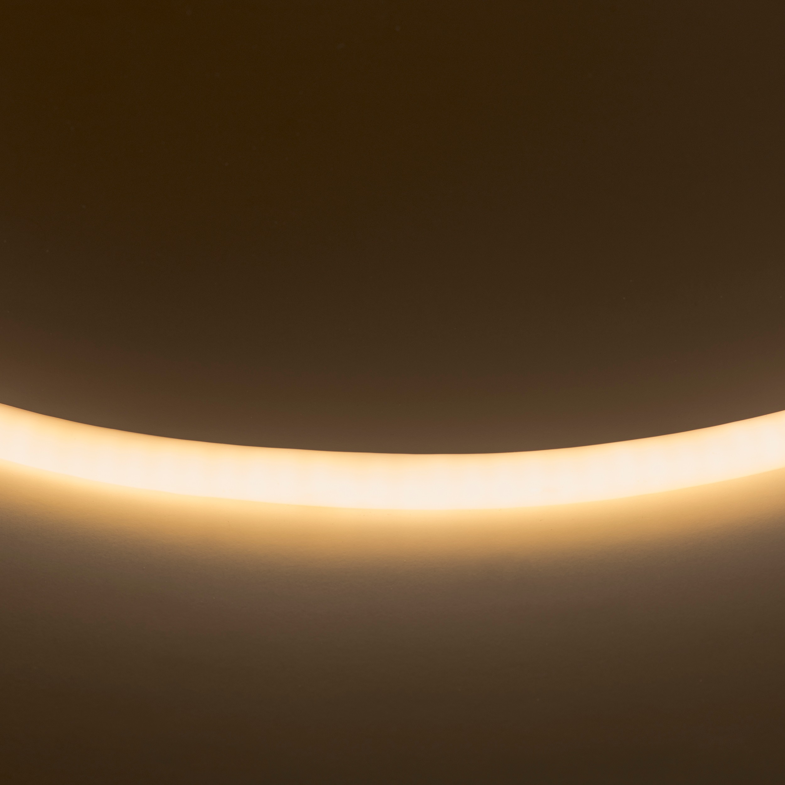 Светодиодный шнур Lightstar Neolid 430202