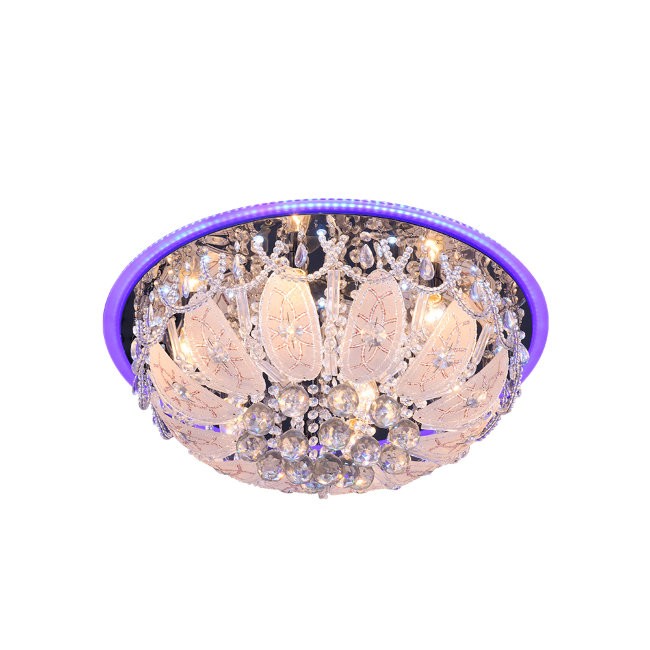 Потолочная люстра с пультом Дария Wedo Light 78946.01.01.08