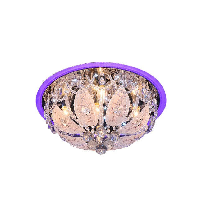 Потолочная люстра с пультом Дария Wedo Light 78946.01.03.05