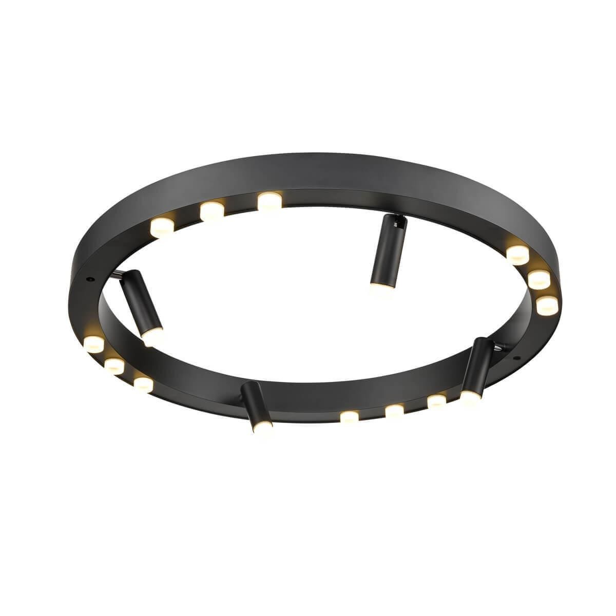 Потолочный светодиодный светильник Vele Luce Satellite VL7172L12