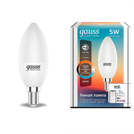 Светодиодная лампа Gauss Smart Home Свеча 1110112