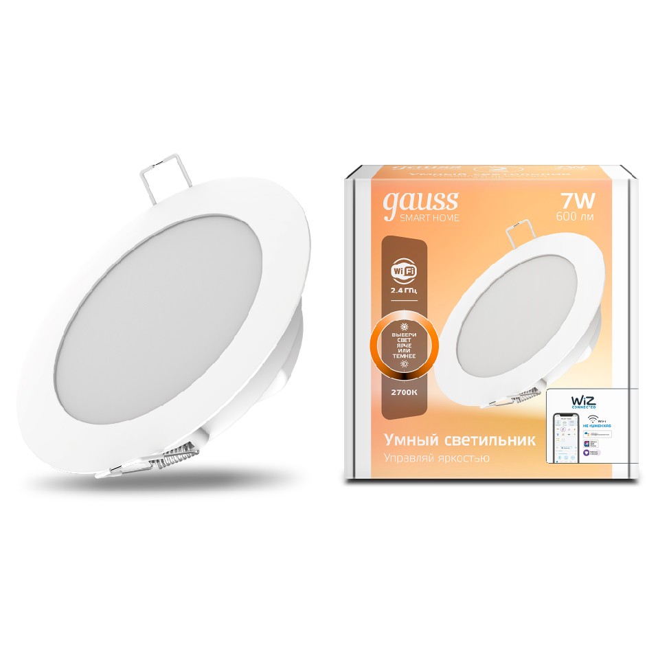 Smart Home Downlight