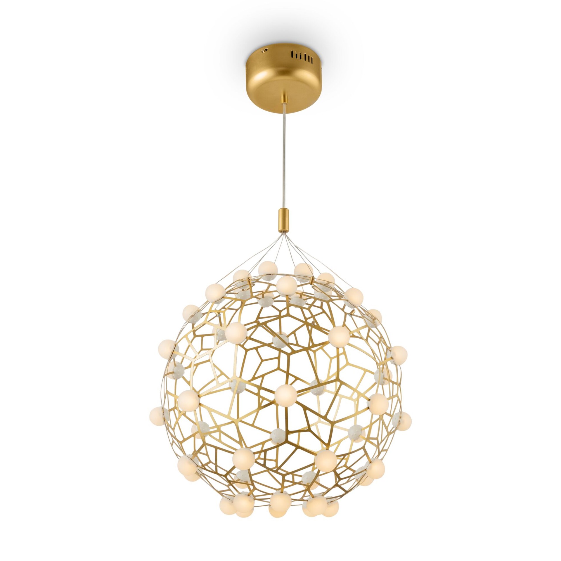 Светильник подвесной Freya Sheila FR5131PL-L24G