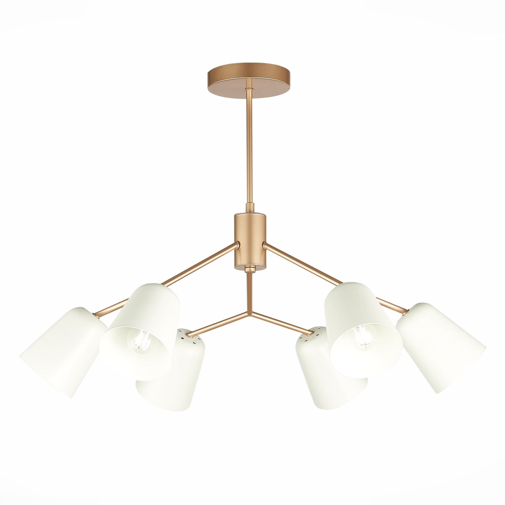 Потолочная люстра Evoluce Mario SLE155902-06