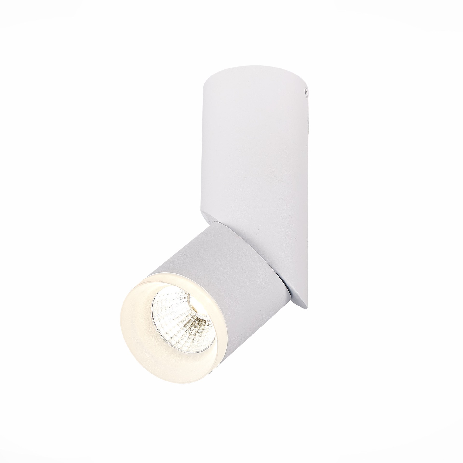 Накладной светильник ST Luce Tortelle ST107.542.10