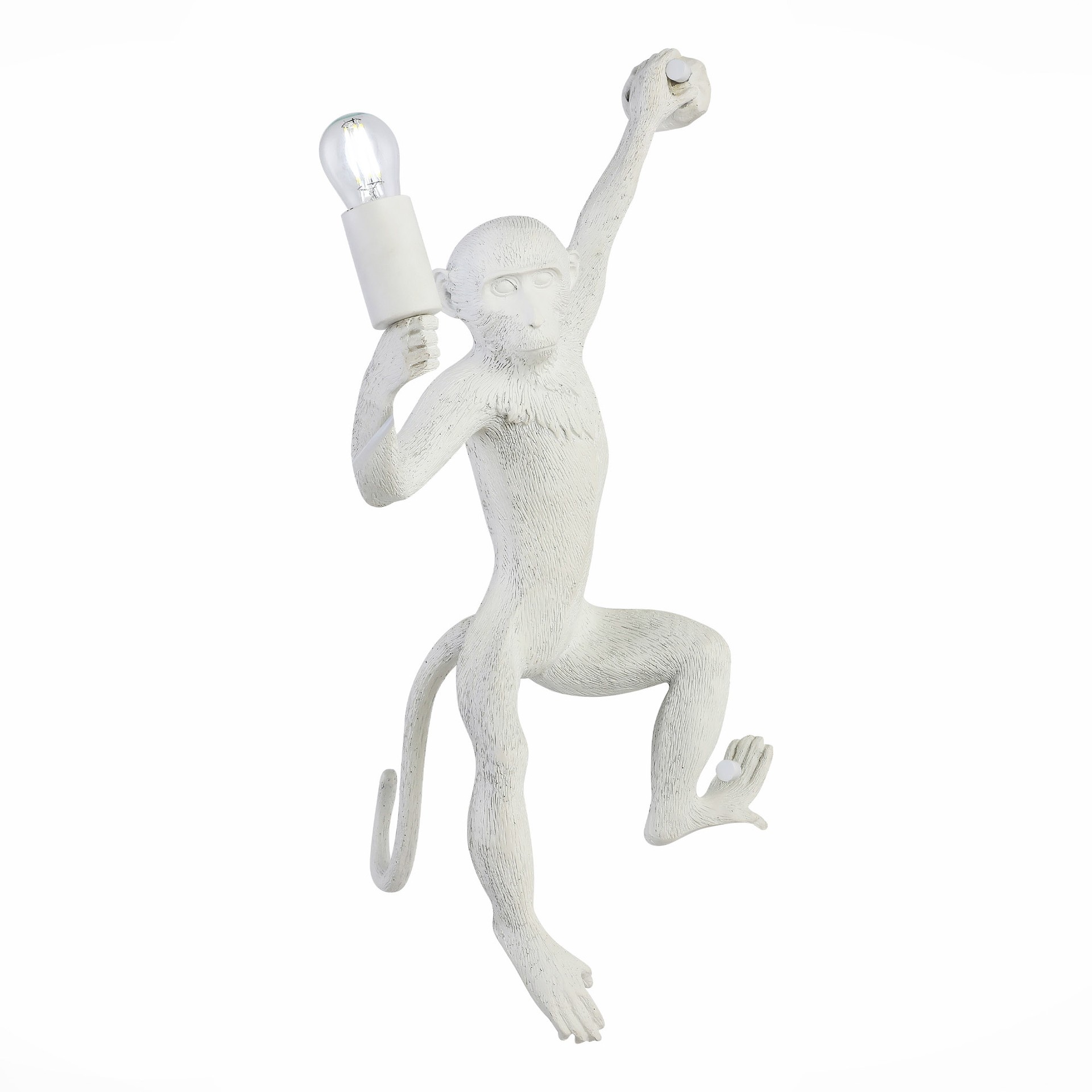 Настенное бра Evoluce Tenato SLE115111-01