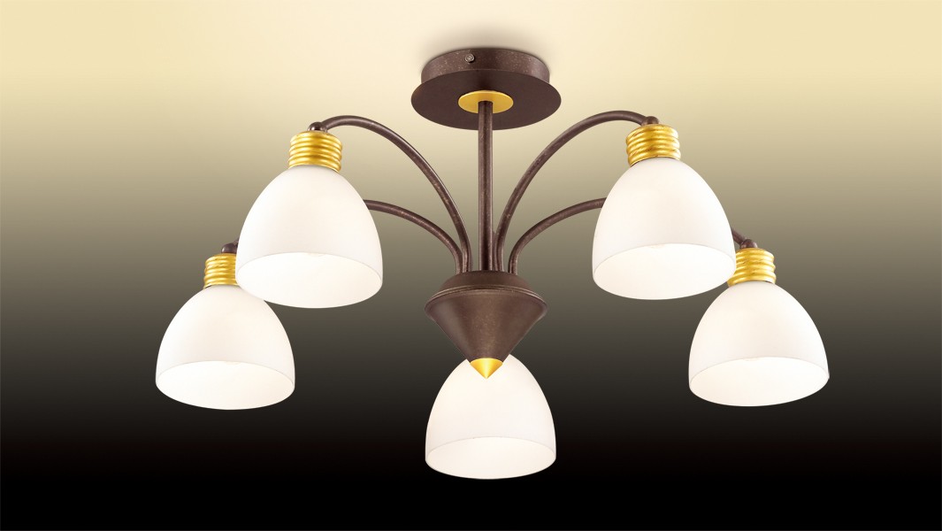 Потолочная люстра Odeon Light Tanais 2624/5C