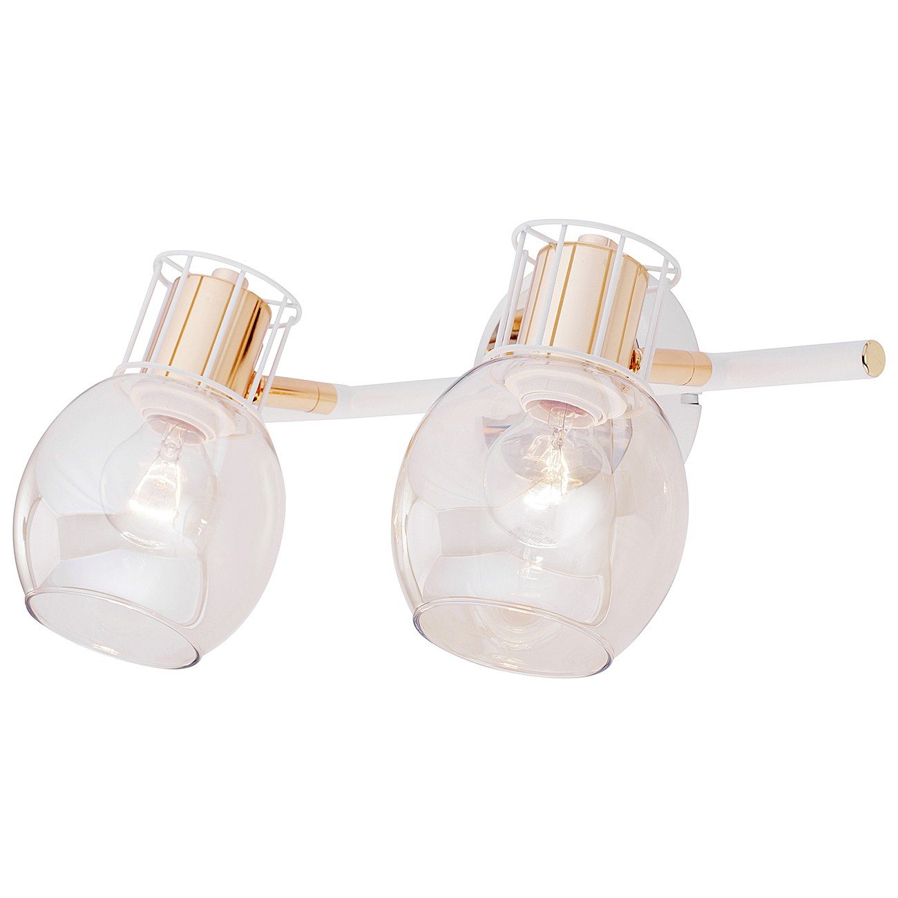 Светильник спот Escada Phantom 1137/2A