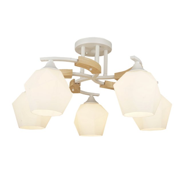 Потолочная люстра Wedo Light Lalio 66587.01.09.05