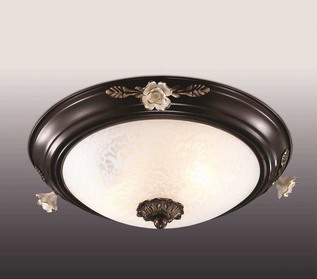 Светильник потолочный Odeon Light Bone 2693/2C