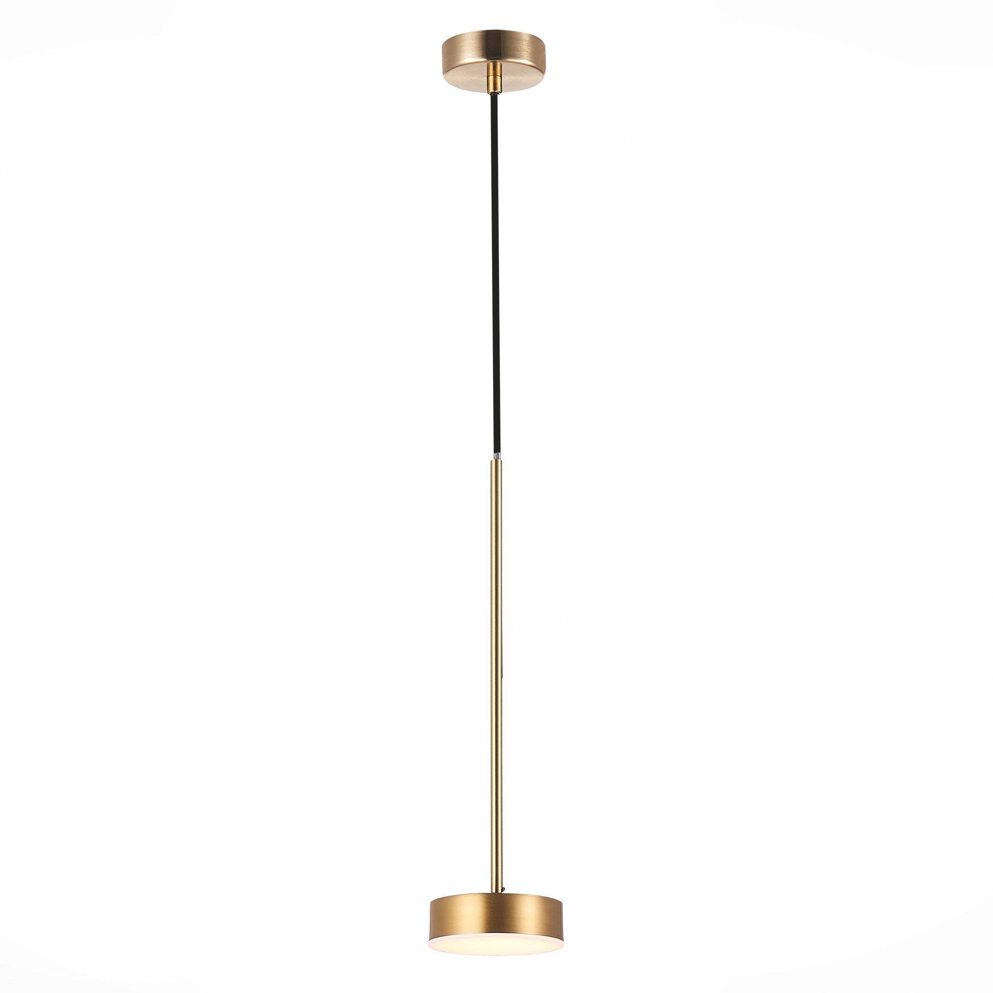 Светильник подвесной ST Luce Pances SL6000.303.01