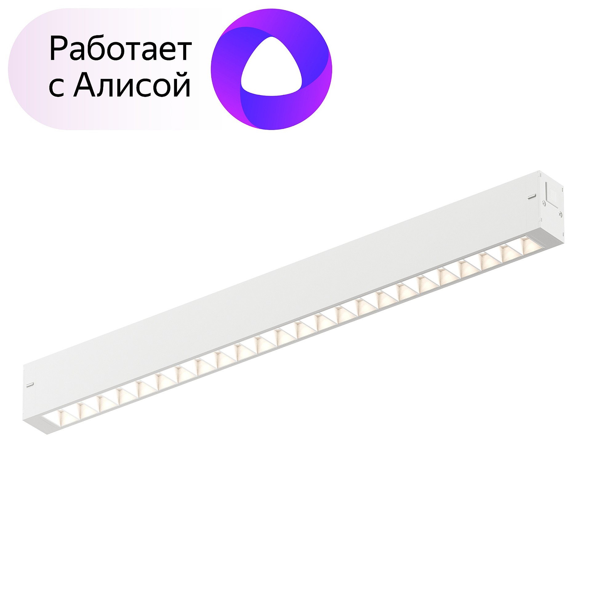 Трековый светильник Denkirs DK8002-WH