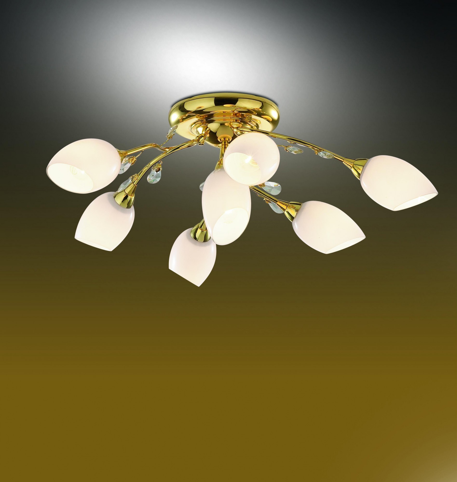 Потолочная люстра Odeon Light Fiera 1604/7