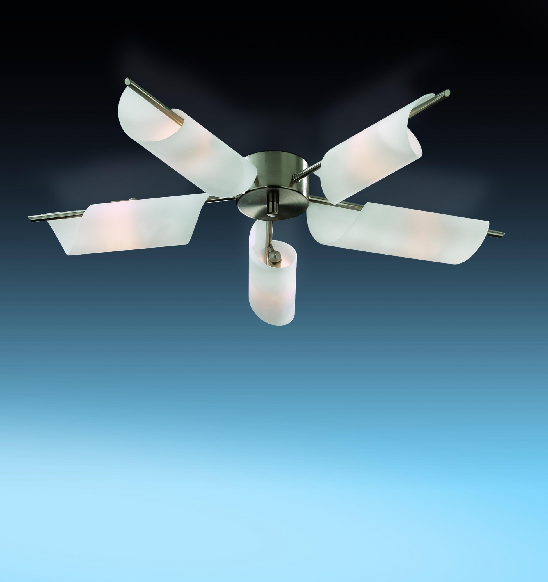 Потолочная люстра Odeon Light Ray 2014/5C