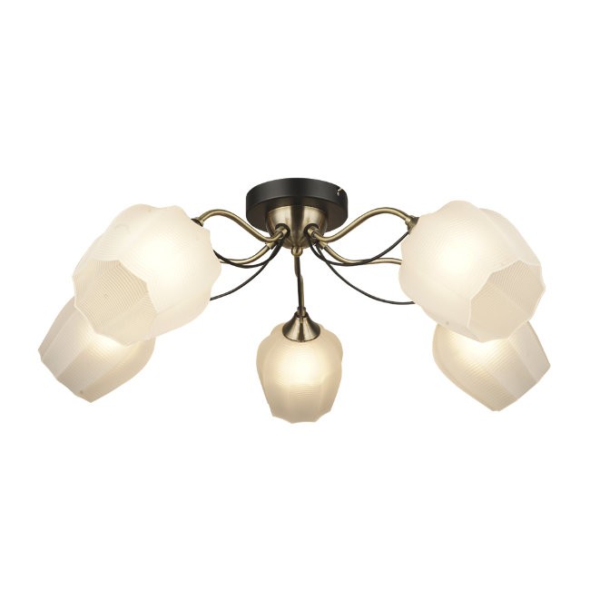 Потолочная люстра Wedo Light Bardi 66658.01.37.05