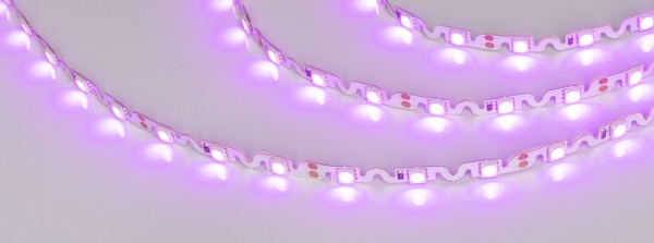 LED лента Arlight RZ волна 018218