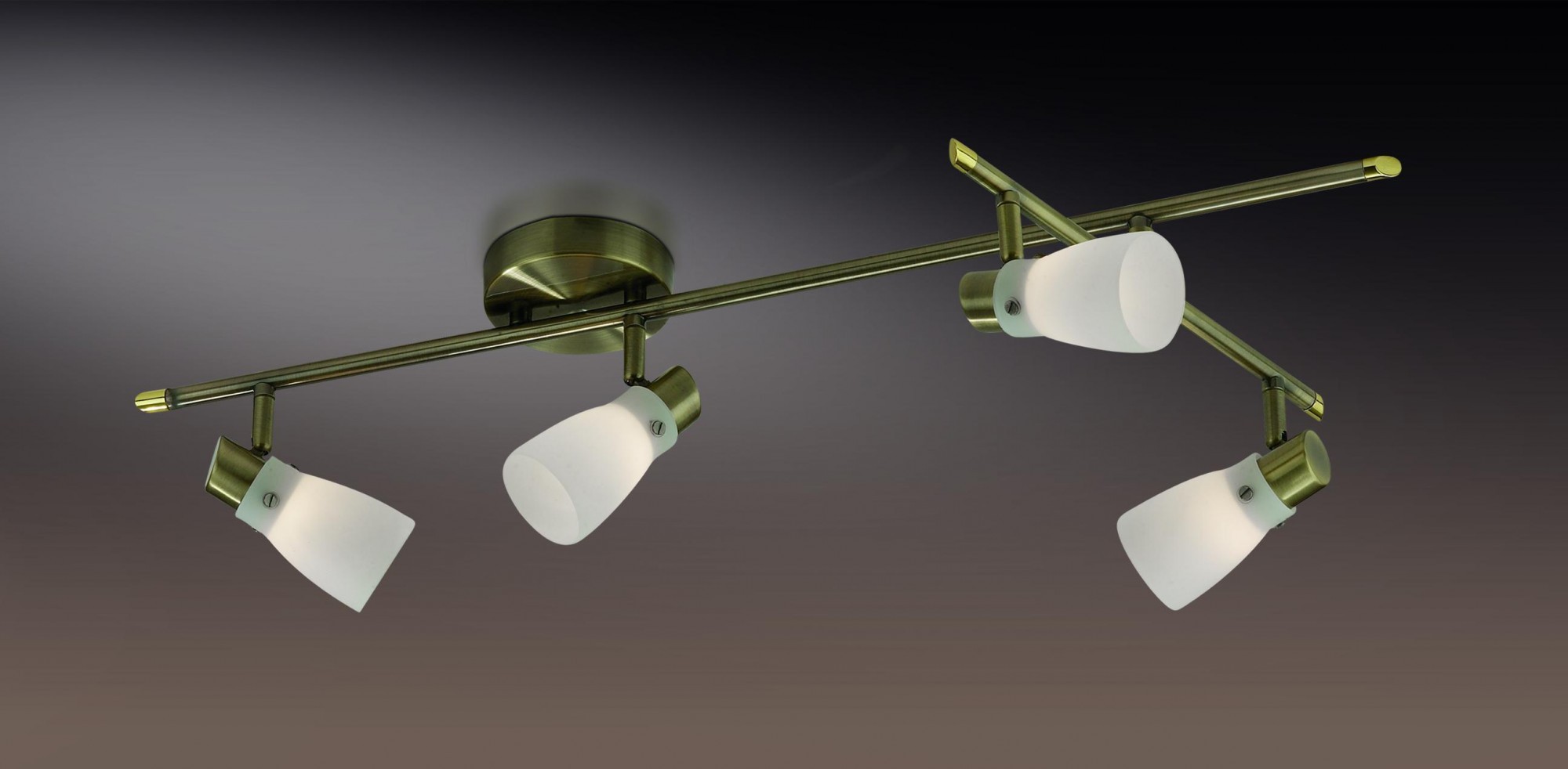 Светильник спот Odeon Light TERZA 2065/4C