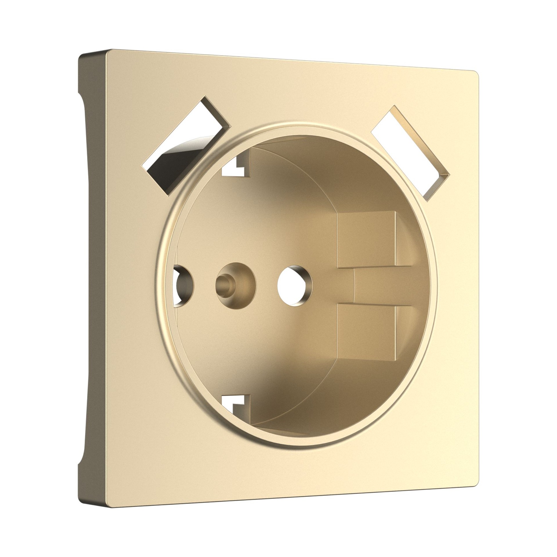 Накладка на механизм Werkel W1179511/ Накладка для розетки USB (шампань)
